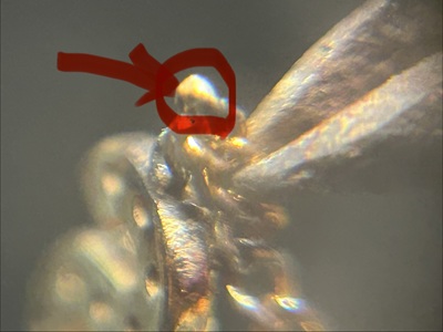 ピンセットでモチーフとチェーンを繋ぎ合わせ、ロウ付けの準備をする手元